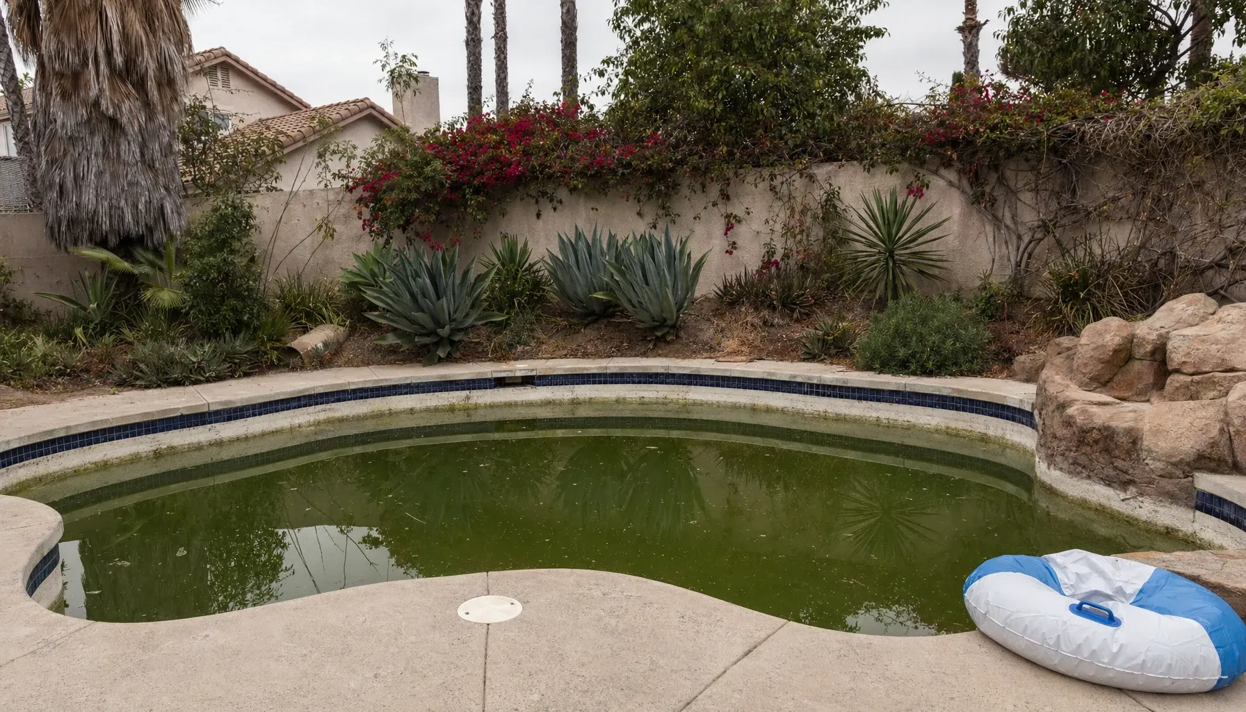 Green Pool Water: What Causes It and How to Fix It