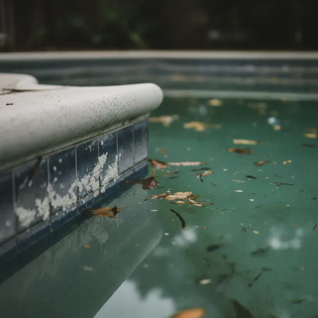 Swimming pool with cloudy greenish water and calcium scale at the waterline